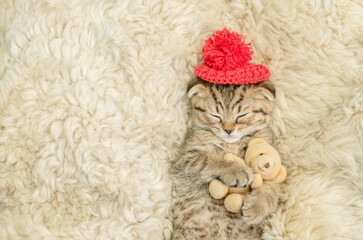 Aufkleber - Cozy tiny fold tabby kitten wearing warm hat sleeps with favorite toy bear on the bed at home. Top down view. Empty space for text
