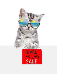Poster - Tabby kitten wearing mirrored sunglasses shows signboard with labeled 