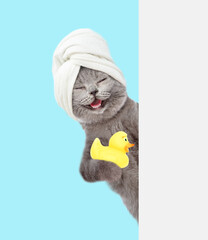 Wall Mural - Happy cat with towel on it head holds rubber duck behind empty white banner. isolated on white background