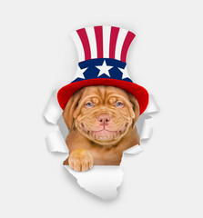 Poster - Happy Mastiff puppy wearing like Uncle Sam looking through a hole in paper. isolated on white background