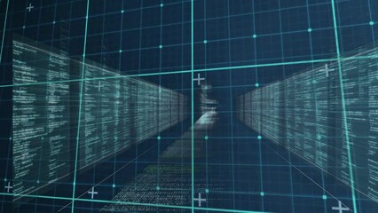 Poster - Animation of data processing over computer servers and grid