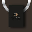 CE logo design vector image