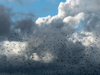 Poster - clouds 