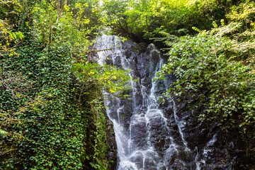 Wall Mural - travel to georgia - upper part of mirveti waterfall near mirveti village in adjara on autumn day. it