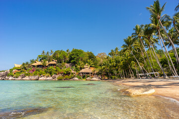 Wall Mural - Calm sunny sandy tropical Sairee beach on exotic Koh Tao island in Thailand. Picturesque peaceful shoreline with palm trees on shore, clear transparent sea water and blue sky