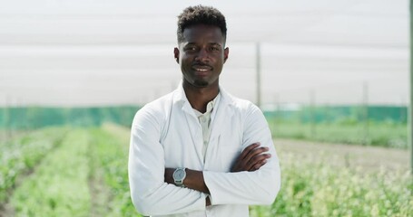 Poster - Man, face and greenhouse plants for agriculture inspection for sustainable management, vegetable field for eco friendly farm. Black person, confident for farming development, production for nutrition