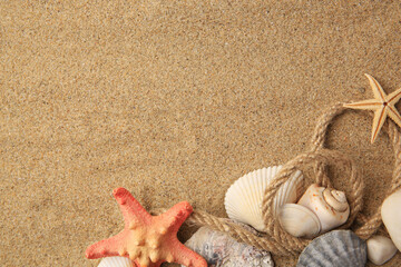 Wall Mural - Beautiful sea stars, shells and rope on sand, flat lay. Space for text