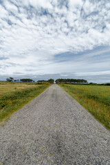 Wall Mural - A gravel path leads through a green field towards the horizon, under a cloudy blue sky with trees in the background