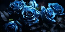 Beautiful Blue Roses With Dew Drops. Floral Background.