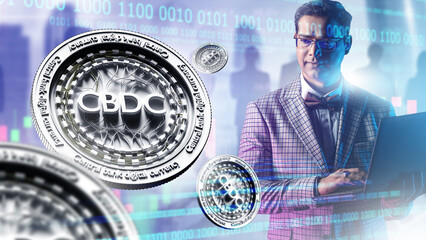 Poster - CBDC investor. Crypto money coins. Man with laptop. Central bank digital currency. CBDC money. National cryptocurrency. Male trader near CBDC coins. Blockchain developer. Finance, economics
