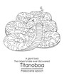 The largest snake ever discovered, Titanoboa, a giant boid, appeared in the Paleocene epoch. This epoch followed the extinction of the dinosaurs. Black and white line art, perfect for coloring.