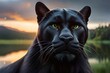 Black panther AI collection
