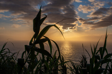 Tierra mar y cielo 