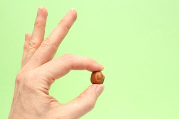 Wall Mural - Woman holding organic hazelnut nut in hands. Nutrition healthy food choice concept. Calories dieting snack. Sustainable lifestyle. Close-up