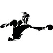 illustration of a boxer punch logo