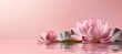 lotus flower on pink background with copy space