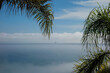 vista para o Rio Tejo  em Oeiras. vista do farol do Bugio, com nevoeiro, detalhe de palmeiras. margem do Rio