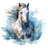 Fototapeta Konie - watercolor sea ​​Horse isolated on white