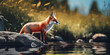 Red Fox hunting, Vulpes vulpes, wildlife scene from Europe. Orange fur coat animal in the nature habitat,Portrait of a red fox in the mountains. Generative ai