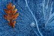 © ADDICTIVE STOCK - Top view of dry leaf on frozen water with patterns in winter