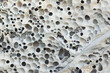 © ADDICTIVE STOCK - Weathered honeycomb rock texture with organic patterns