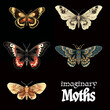 imaginary moths