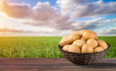 Poster - Fresh potatoes on table at green field on sunset