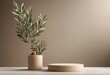 Product display podium for natural product Empty scene with olive tree branch Cosmetic mockup clean