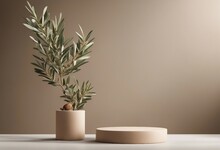 Product Display Podium For Natural Product Empty Scene With Olive Tree Branch Cosmetic Mockup Clean