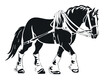 Draft horse in action, black vector design against white background 