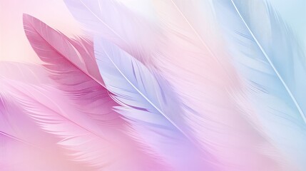 A Close up of a Pink and Blue Background With Feathers