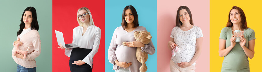 Sticker - Set of different pregnant women on colorful background