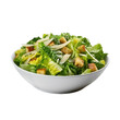 Healthy caesar salad bowl on transparent background.