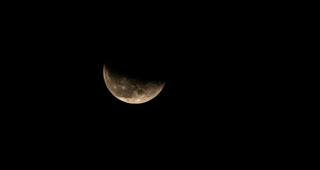 Wall Mural - the moon in the night sky close-up. the lunar eclipse.