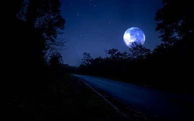 Wall Mural - Full moon over the forest with road