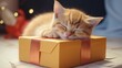 © Aqsa - Relaxing Pet Cat in Cardboard Box generated by AI tool