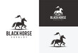 Cavalry Equestrian logo vector illustration