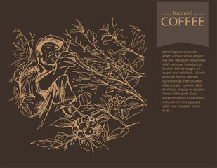 Banner and brochure template of coffee tree and farmer on sketch ink drawing for label packaging, sticker, poster, promotion, banner, t-shirt, tote bag, stamp.