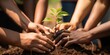 People planting trees in soil