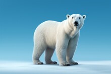 Polar Bear, Photorealistic, Solid Light Blue Background