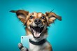 Happy smiling smart dog holding a smartphone, blue background. Generative AI