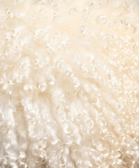 Wall Mural - White sheep wool as an abstract background. Texture