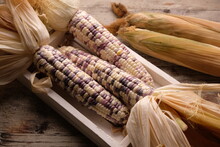 Gem Corn Rainbow. Rainbow Corn With Striking Seed Colors. Corn Is One Of The Most Important Carbohydrate-producing Food Crops In The World, Besides Wheat And Rice. Zea Mays