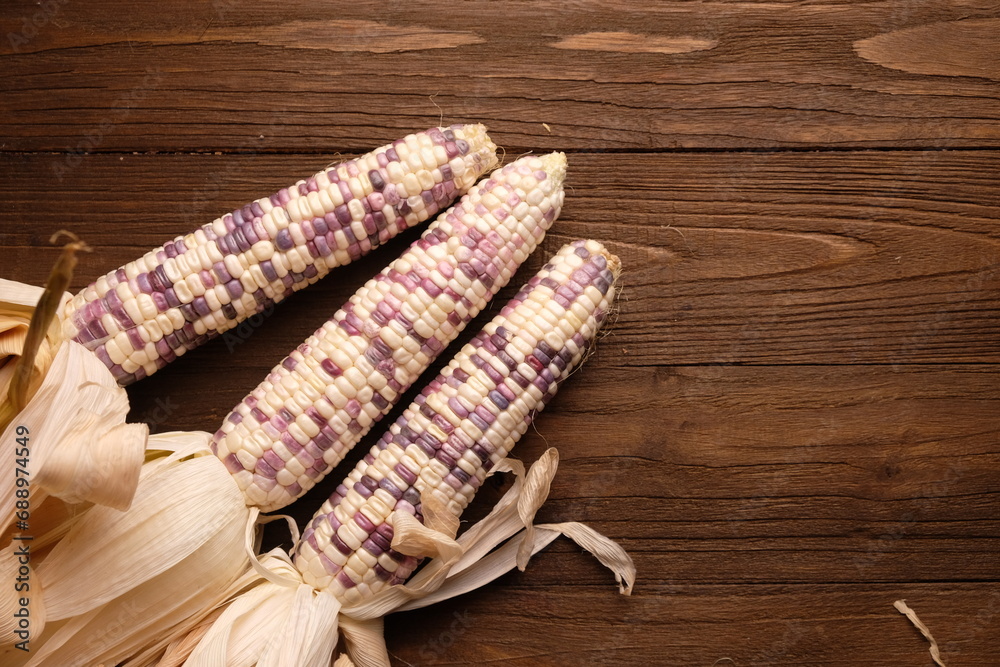 gem corn rainbow. rainbow corn with striking seed colors. Corn is one ...