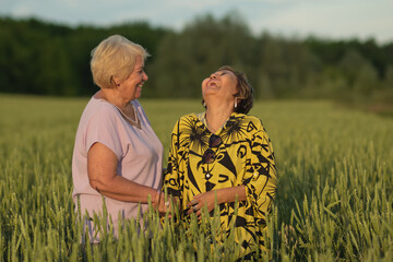 Elderly friends chat in the golden hour, surrounded by nature s bounty. Connects with the movement towards organic and local food sources.