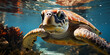 Oceanic Elegance: Tranquil Turtle Glides. Nature's Ballet: Turtle Ballet in Blue Waters