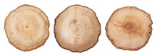 Set Of Wood Cuts. Round Cuts Of Wood With Annual Rings. Lumber, Wood