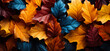 A close up image of different colored fall leaves. A bunch of colorful leaves that are on the ground