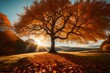autumn landscape with tree and sky-