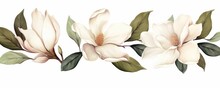 Watercolor White Magnolia Flower And Leaf Bouquet Clipart Collection Isolated On White Background, Generative AI